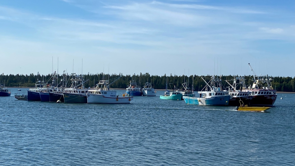 N.B. fishermen protest at St. Andrews Wharf [Video]