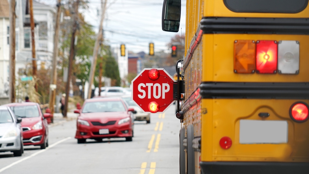 Sharing the road with school buses [Video]