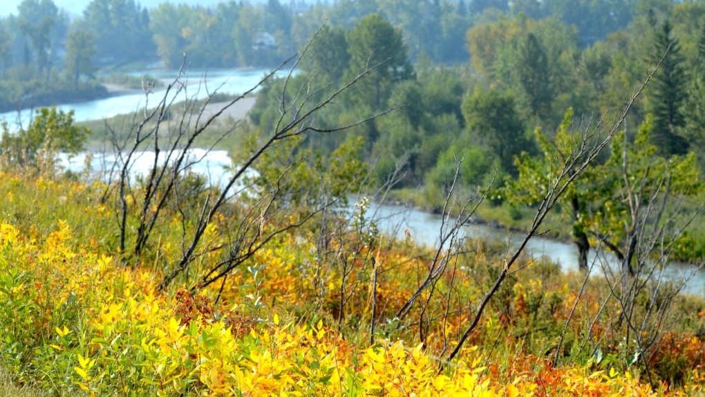 Calgary weather: Warm daytime highs for the next few days [Video]