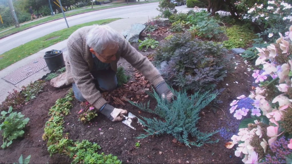 B.C. man transforms damaged lawn into inspiring garden [Video]