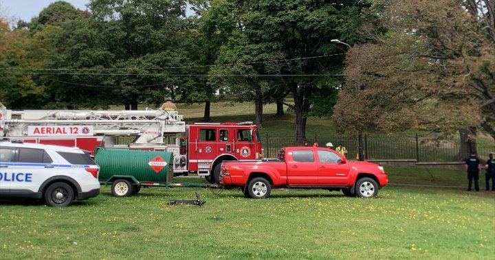 Bear sighting at Dartmouth park has police asking public to avoid area – Halifax [Video]