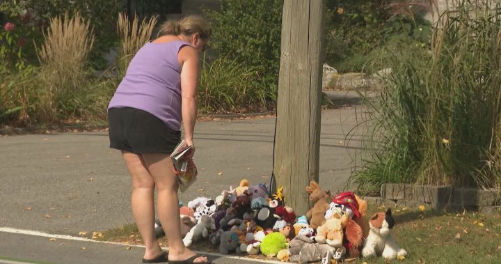 I couldnt stop crying: Memorial grows for 5-year-old boy killed in home [Video]