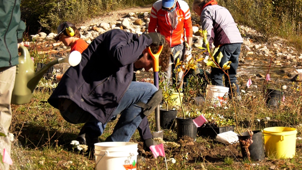 Replenishing plant life along Cascade Creek [Video]