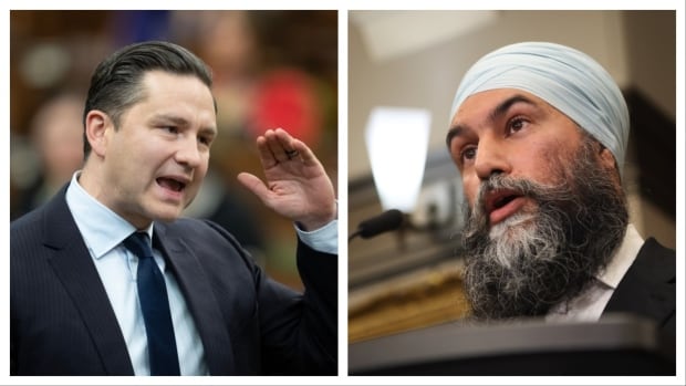 ‘I’m right here, bro’: Singh, Poilievre have tense exchange during question period [Video]