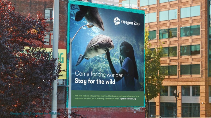 Oregon Zoo receives major award celebrating 50 years of accreditation [Video]