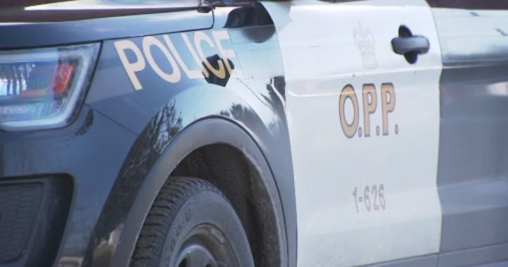 4 people found dead after house fire near Ontario-Quebec border: OPP [Video]