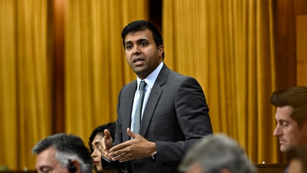 MP says he was ‘pushed’ by a Parliament Hill protester [Video]