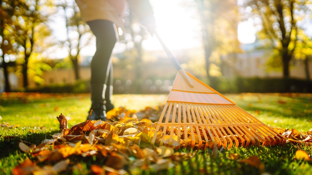 Cooler weather on the way, but a beautiful weekend to tie up your summer [Video]