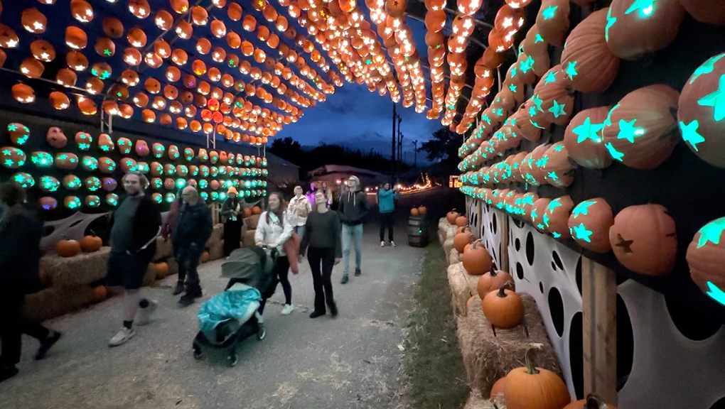 Spooky spectacle takes over WinSport as Pumpkins After Dark returns [Video]