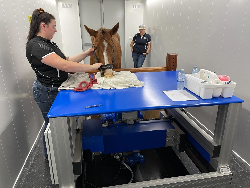 Manitoba vet clinic installed an MRI and CT scanner for horses [Video]