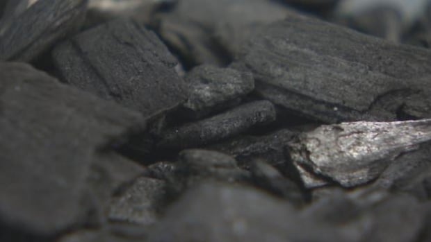 Forever chemicals are everywhere. These burnt wood chips could help change that [Video]