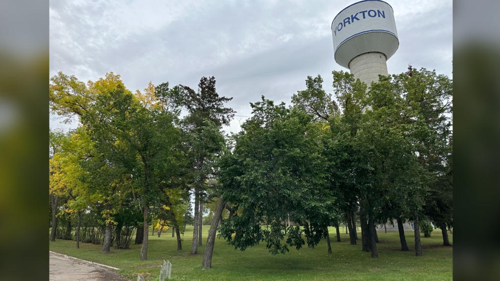 Yorkton passes bylaw addressing unsafe outdoor living [Video]