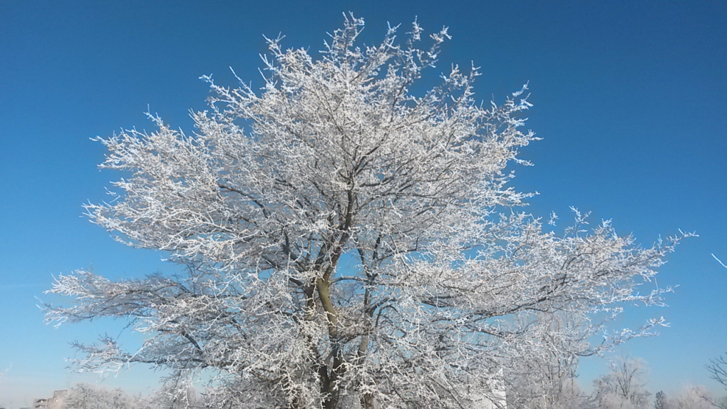 Environment Canada issues frost advisory for Calgary [Video]