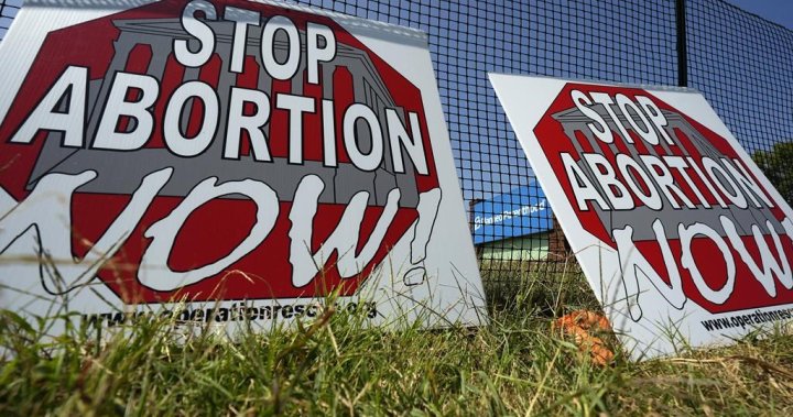 Euphoric 2 years ago, US anti-abortion movement now divided, worried as election nears – National [Video]