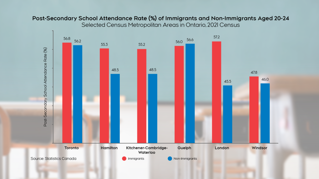 More young immigrants attending post-secondary than domestic students in Windsor-Essex: Report [Video]