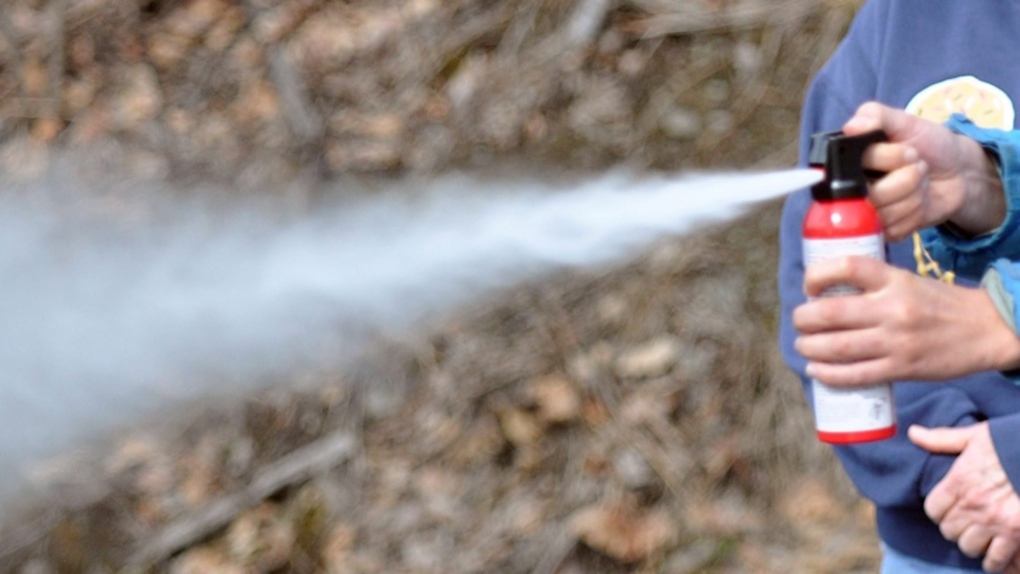 Man arrested after allegedly threatening people with bear spray: Regional police [Video]