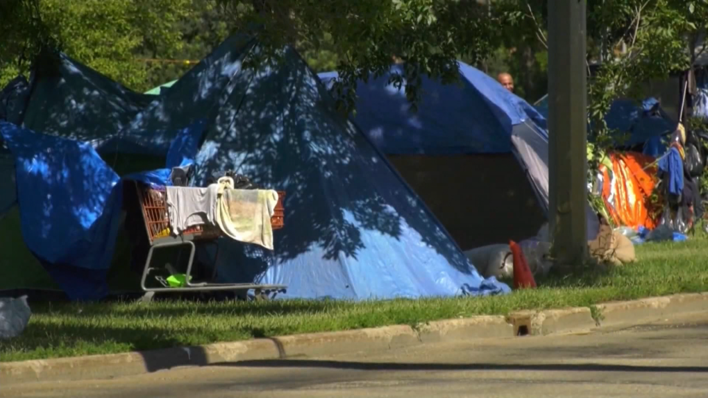 Data shows sharp increase in number of homelessness in Edmonton [Video]