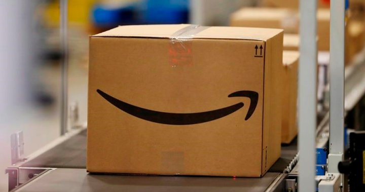 Amazon launches in-garage deliveries for some customers in Canada [Video]