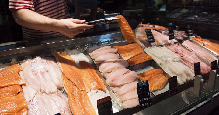 Somethings fishy: 1 in 5 seafood products are mislabelled, study finds [Video]