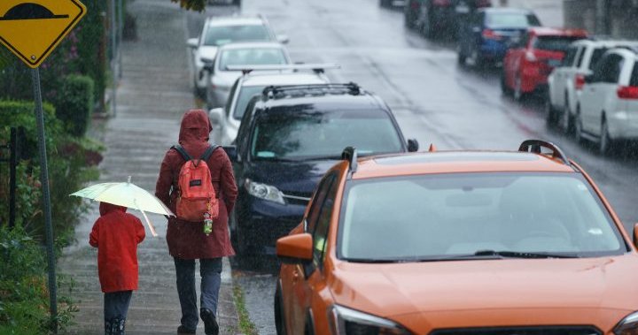 Widespread and heavy: Toronto to see plenty of rain with warning in place [Video]