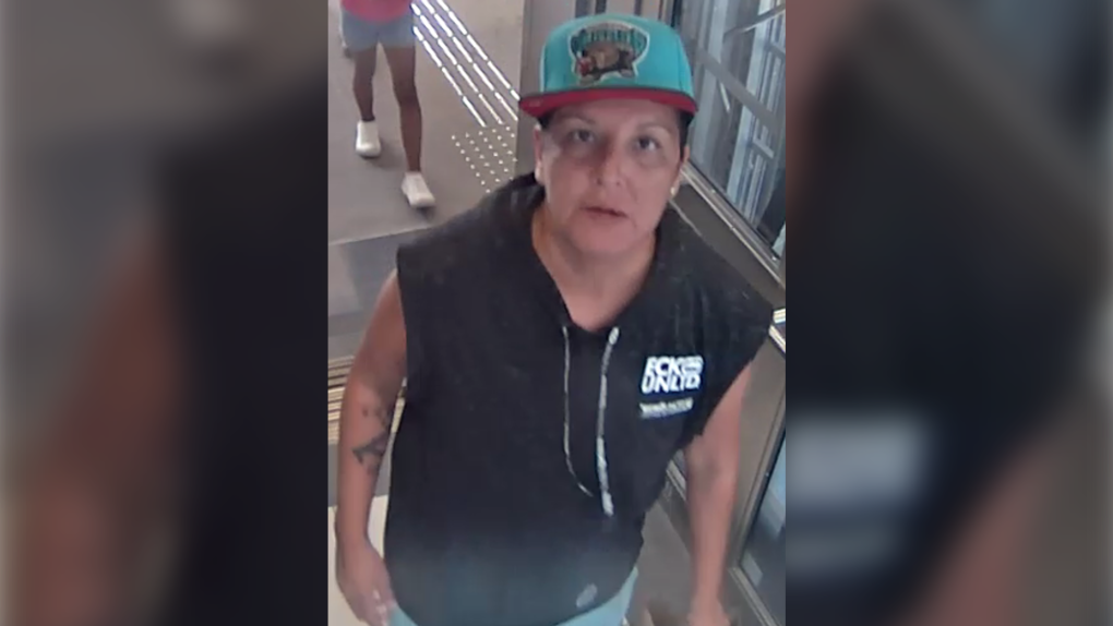 OC Transpo: Ottawa police seeking suspect in O-Train assault last month [Video]