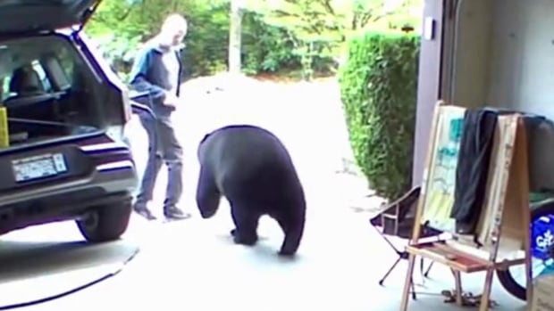 Bear charges at B.C. man in his own garage [Video]