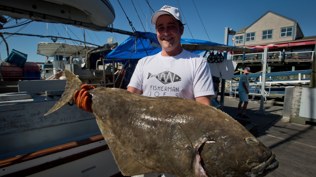 Atlantic halibut fishery: Federal Fisheries Department announces deal with France [Video]