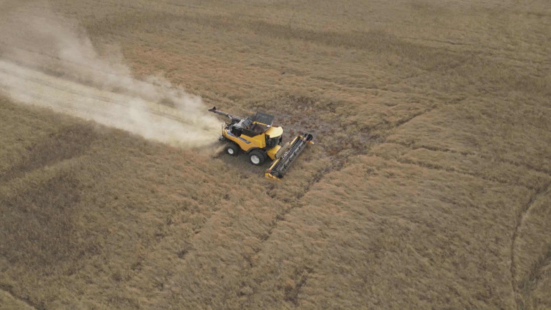 Alberta farmers hit hard by Vancouver grain terminal strike [Video]