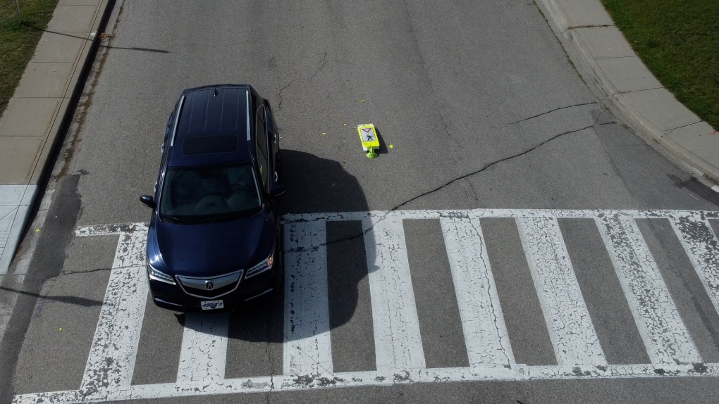 Calgary replaces dozens of street safety signs after they’re hit by vehicles [Video]