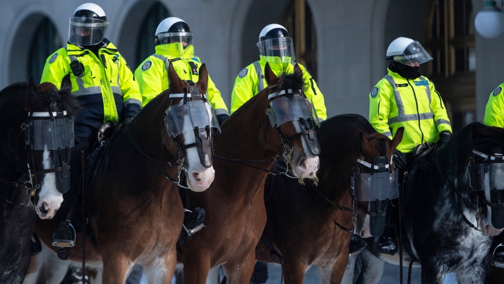 Ottawa police will use horse-mounted police for protests, missing people [Video]