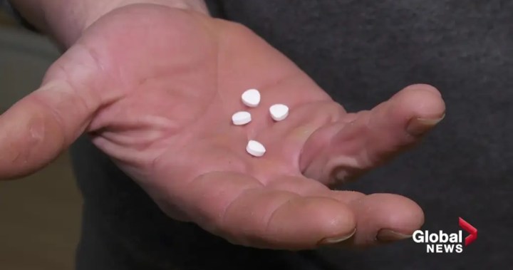 BC Election: Greens vow to expand safer supply of drugs [Video]