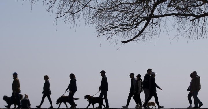 Canadas population growth slows for 1st time since pandemic: StatsCan [Video]