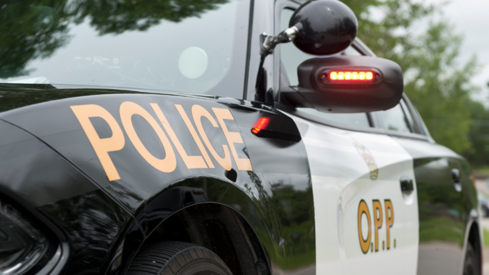 Traffic stop leads to impaired charges: Police [Video]