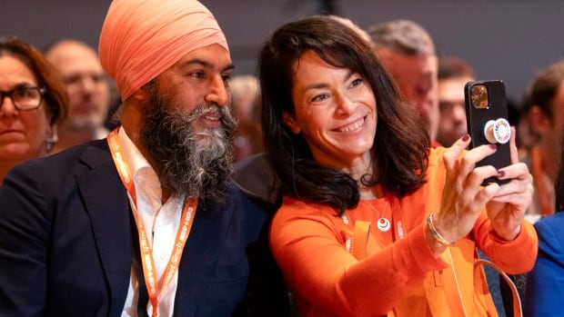 NDP reactivates TikTok account despite foreign interference risk and security concerns [Video]