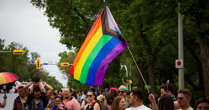 Court of Appeal reserves decision on Sask. school pronoun law hearing [Video]