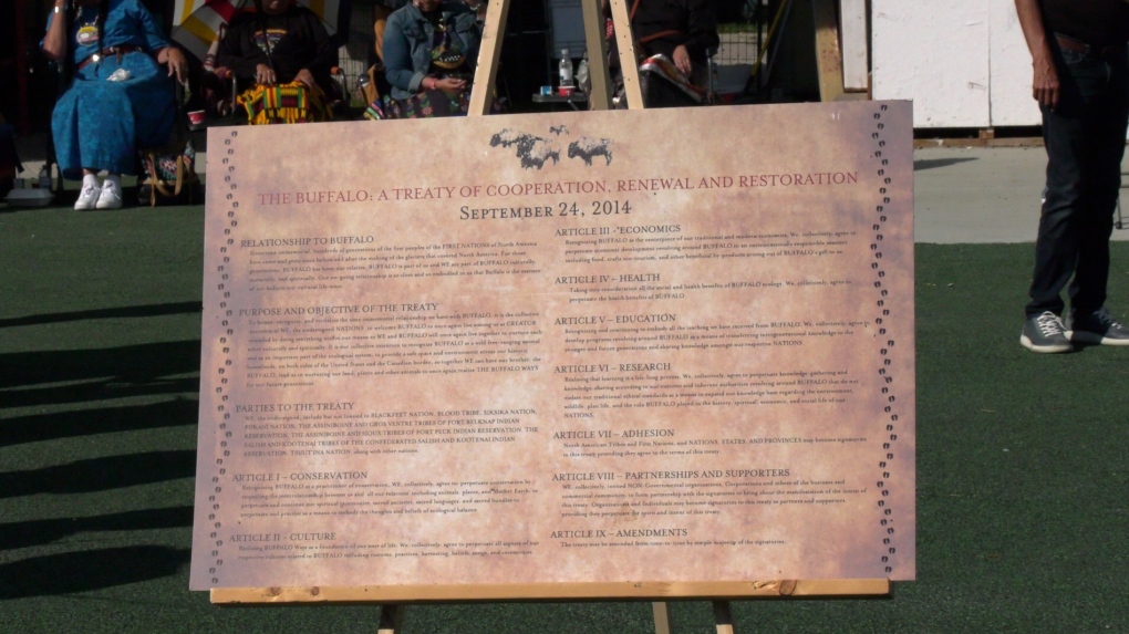 Indigenous groups gather for Buffalo Treaty renewal [Video]