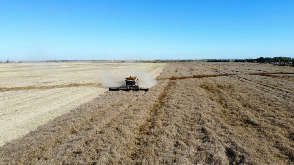 Vancouver port strike impacting Manitoba grain farmers [Video]