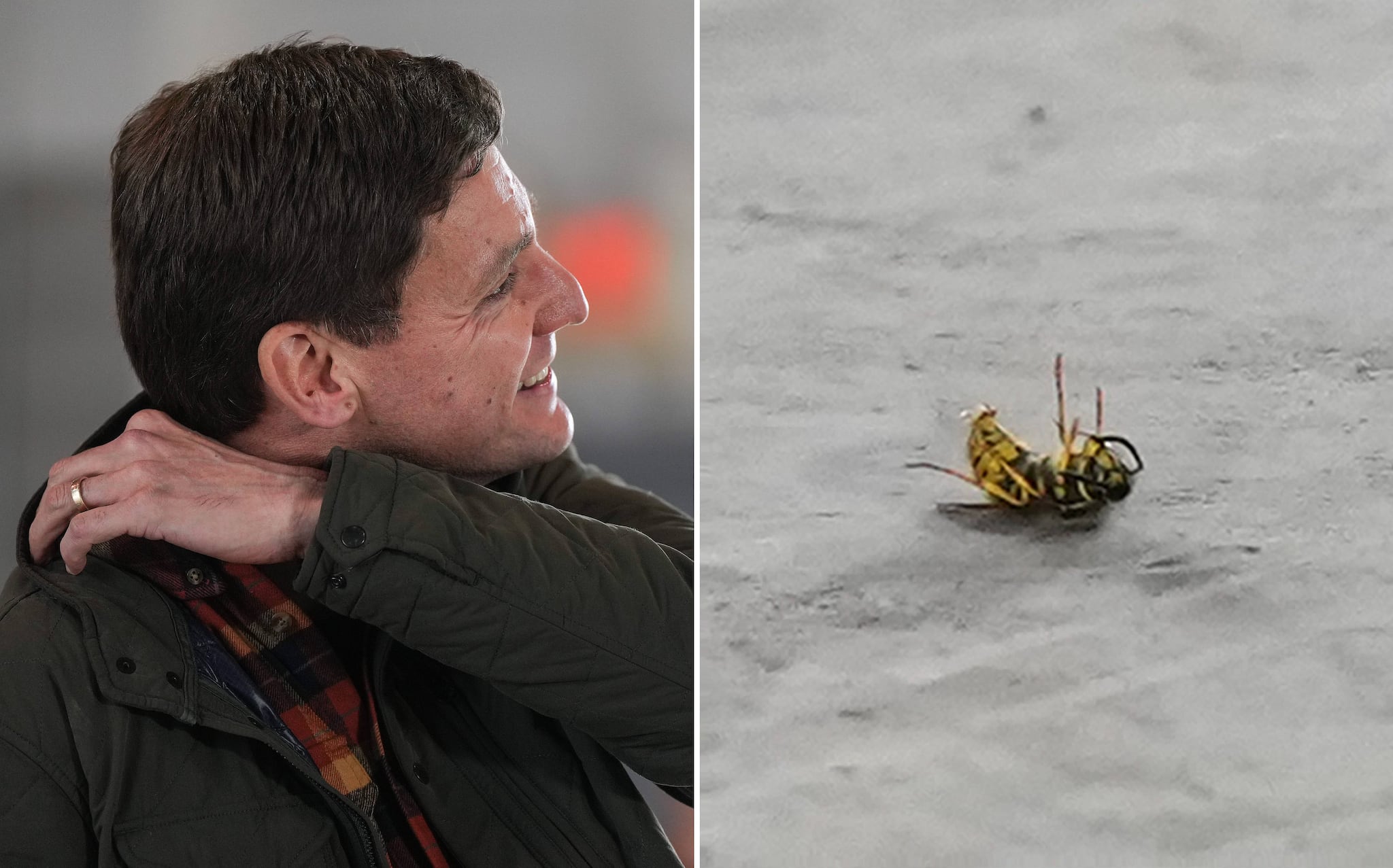 Video: Wasp has fatal encounter with David Eby on campaign trail [Video]