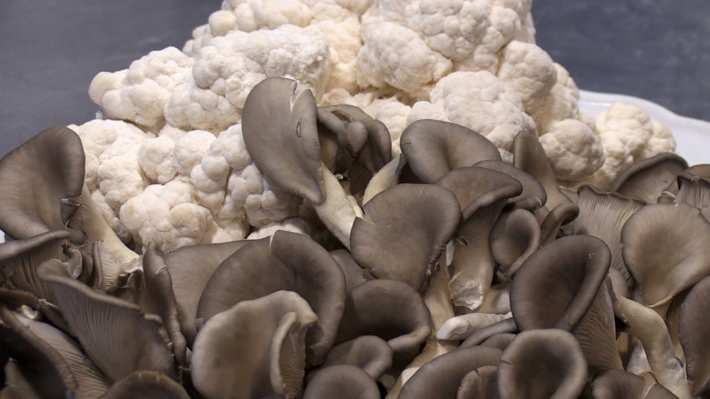 Fields to Forks: Growing gourmet mushrooms [Video]