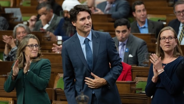 By the numbers: Here’s what it would take to bring down the Liberals in a confidence vote [Video]