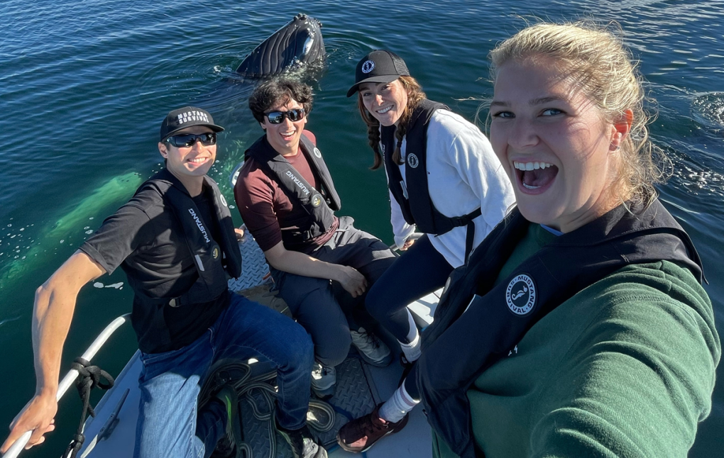 Video shows breathtaking humpback whale encounter off B.C. coast [Video]