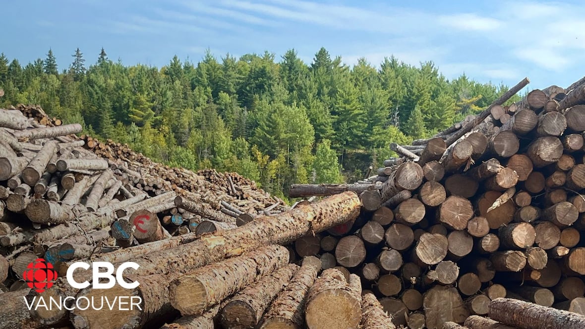 What are the biggest challenges B.C.’s forestry industry is facing today? [Video]