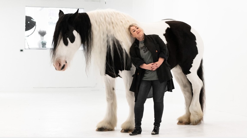 Jann Arden in Vancouver to oppose Canadian horse exports [Video]