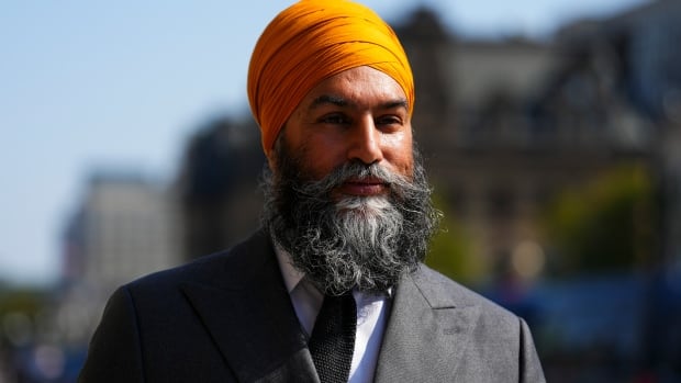 Environment, energy ministers offer Jagmeet Singh a briefing on carbon pricing [Video]