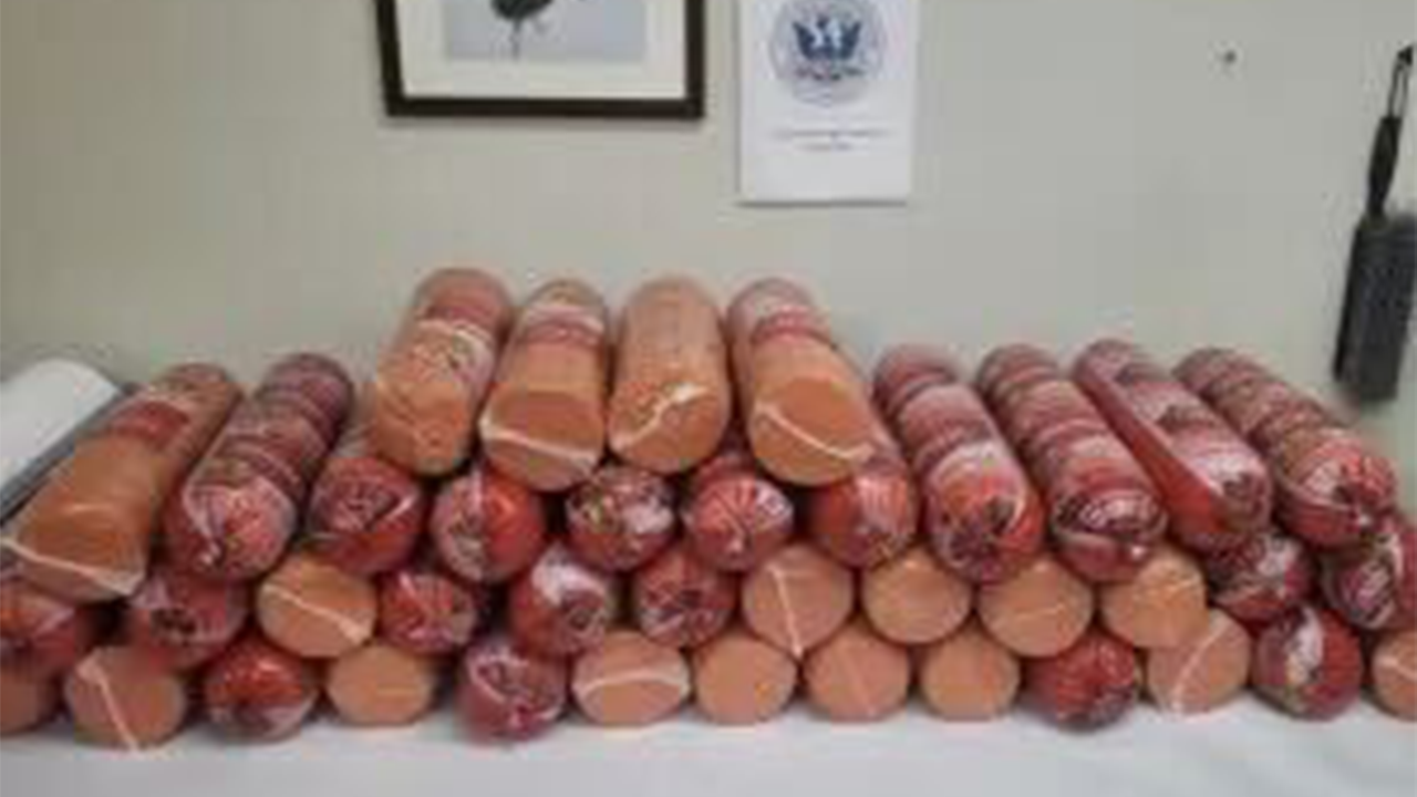 Woman caught smuggling more than 700 pounds of bologna at southern border: CBP [Video]