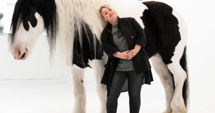 Its not Canadian: Jann Arden ramps up campaign against live horse exports for meat [Video]