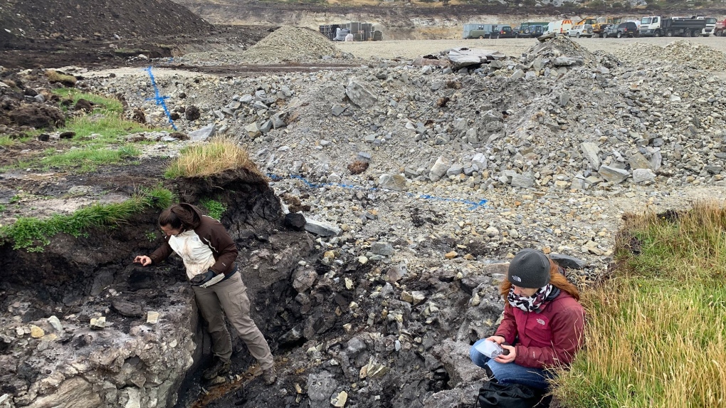 Falkland Islands: Tree-free area shows evidence of former forest [Video]