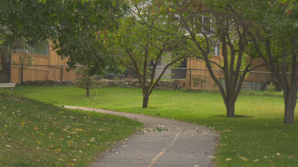 Child injured in coyote attack in northwest Calgary [Video]