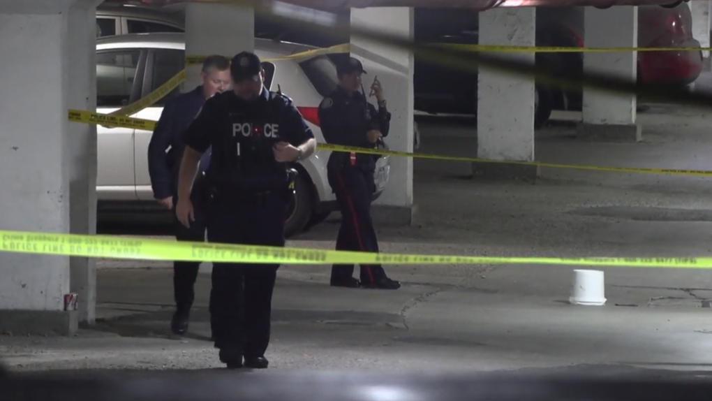 Police seek info after man killed in Scarborough stabbing [Video]