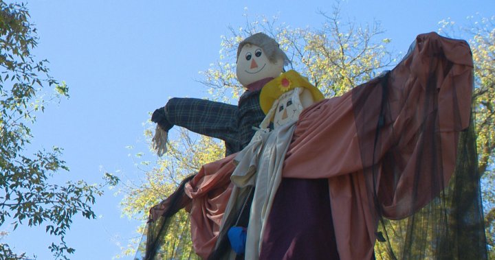 Lumsden, Sask. welcomes visitors for annual Scarecrow Festival [Video]